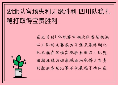 湖北队客场失利无缘胜利 四川队稳扎稳打取得宝贵胜利