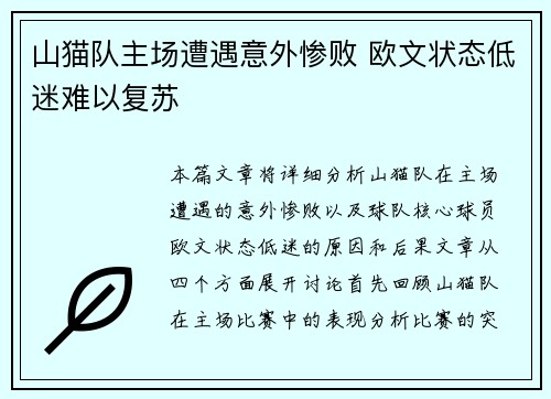 山猫队主场遭遇意外惨败 欧文状态低迷难以复苏