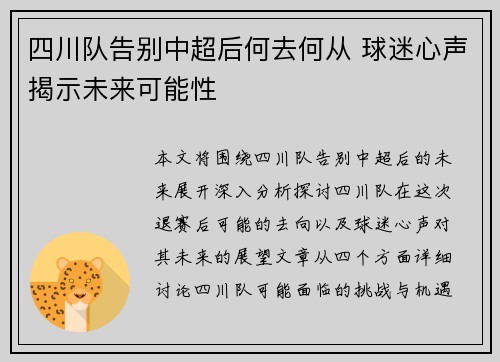 四川队告别中超后何去何从 球迷心声揭示未来可能性