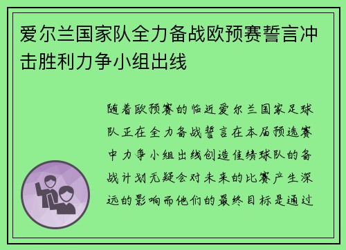 爱尔兰国家队全力备战欧预赛誓言冲击胜利力争小组出线